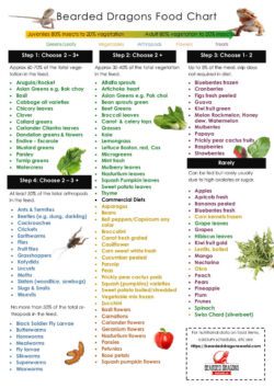 Bearded Dragons Food: With Colored Food Charts