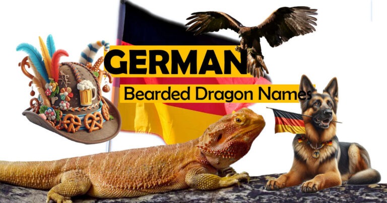 Best German Bearded Dragon Names