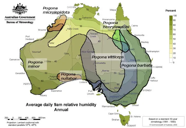Average daily relative humidity in Australia with distribution of bearded dragons
