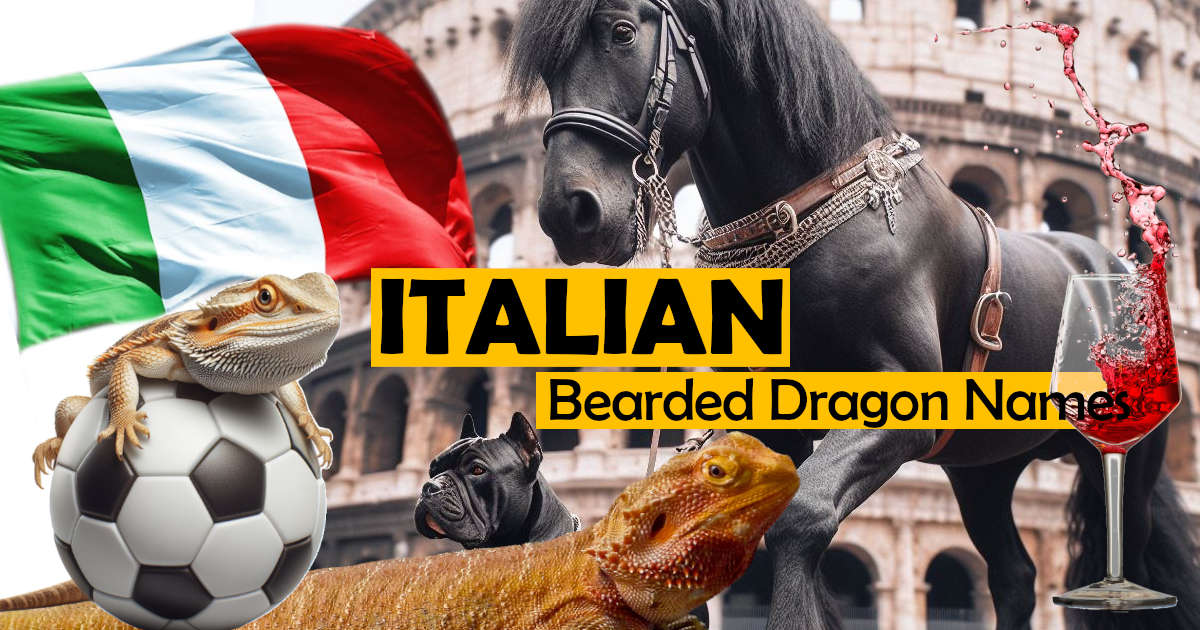 Best Italian Bearded Dragon Names