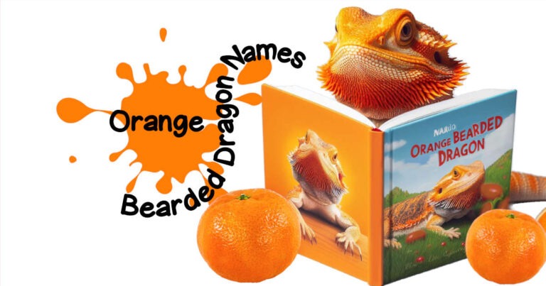 Names for Orange Bearded Dragons