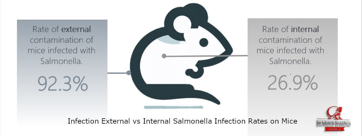 Can my Reptile make me Sick? Reptile Associated Salmonella (RAS)