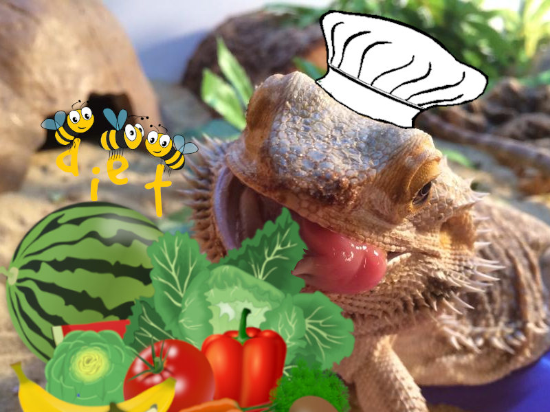 Bearded Dragon Diet and Nutrition [Over 125 Safe Food List]