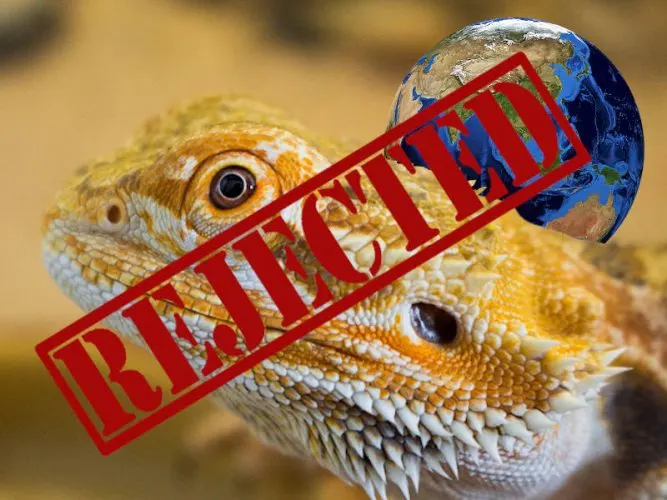 bearded dragons cannot be imported or exported Australia
