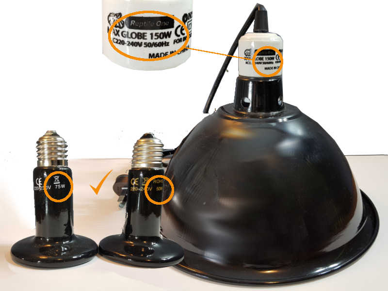 Simplifying Bearded Dragon Heating & Lighting Setup