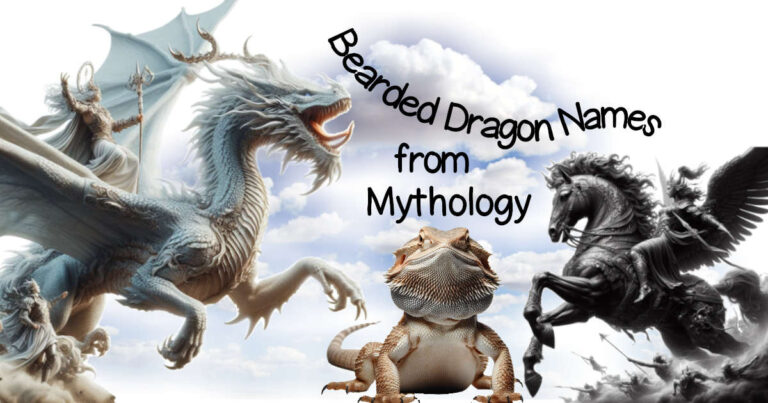great bearded dragon names from mythology