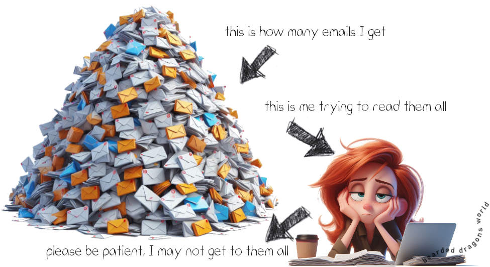 exhausted at bearded dragons world trying to repond to all the emails from the contact form